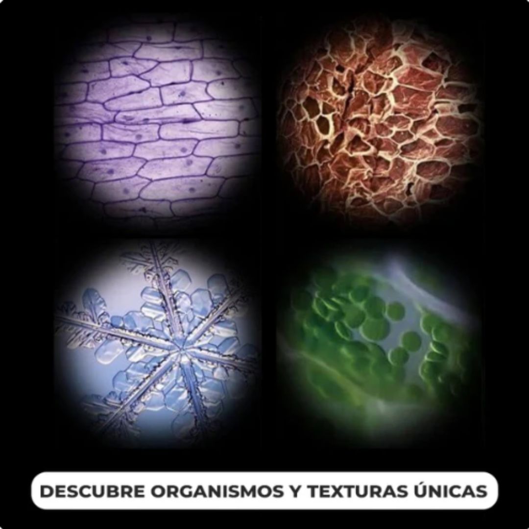 Microscopio Portátil 60x a 120x - Exploración Científica desde Casa